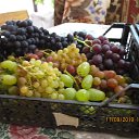 ���� ��������, ������ - ��������� 8 ������ 2023 � ������ ���� ����������