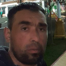 ������, �����, 37 ���