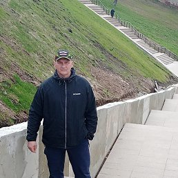 , 53 ,  