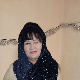 ���� ������, �������, 66 ��� - ��������� 22 ������ 2024