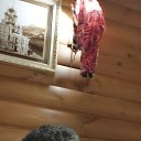 ���� ����, ������ ��������, 25 ��� - ��������� 17 ������ 2025 � ������ ���� ����������