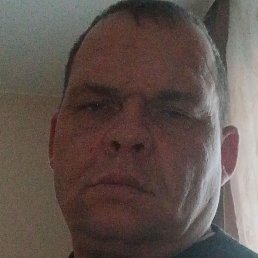 �������, ������, 41 ���