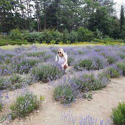 �����, �������, 40 ���