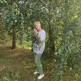 ������, �����������