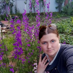, 37, 