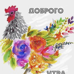 �����, ������, 74 ����