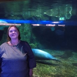 ���� �����, �����-���������, 54 ���� - ��������� 18 ����� 2026