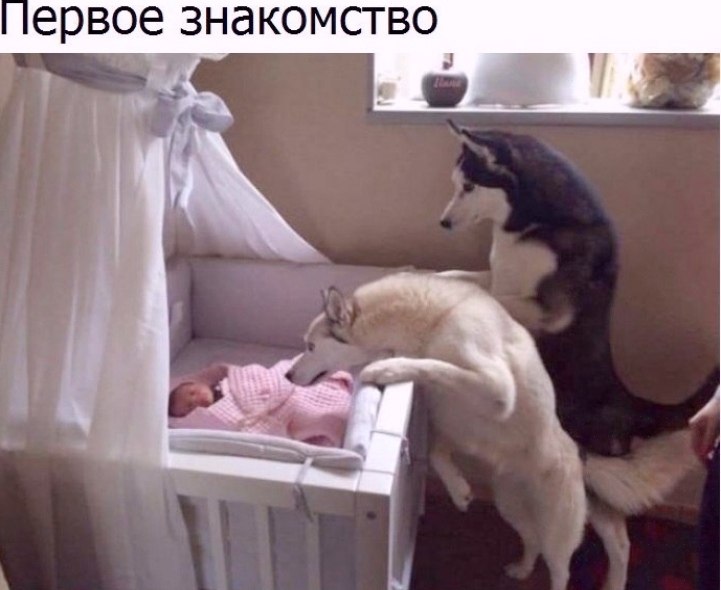 �������� - 4 ������� 2026 � 13:02