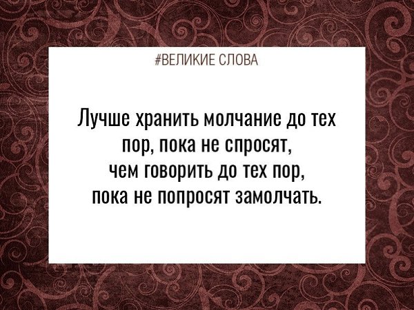   | ,    - 11  2024  15:49