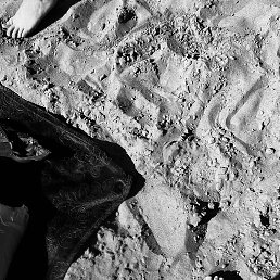 ���, ������, 29 ���