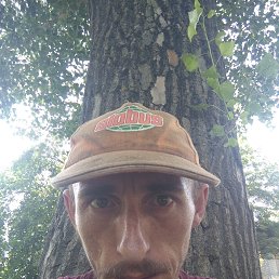 , 31, 
