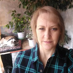 �����, ������ �����, 54 ����