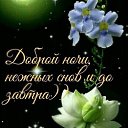 ���� �����, ������ - ��������� 15 ���� 2026 � ������ ������ ��������