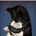 ���� �������, ����������, 48 ��� - ��������� 19 ��� 2024