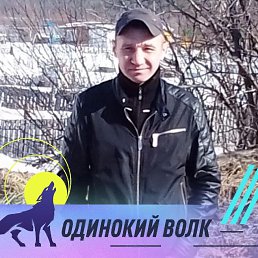 ������, 38 ���, ������