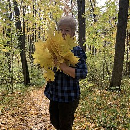 �������, �����������, 56 ���