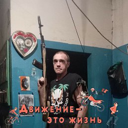 ���� ������ ������, ������, 54 ���� - ��������� 24 ��� 2026