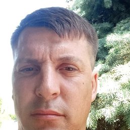 ���������, ������, 41 ���