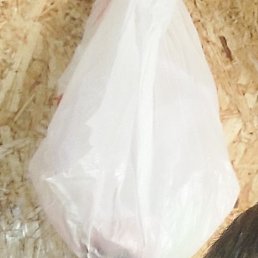 ��������, ������, 41 ���