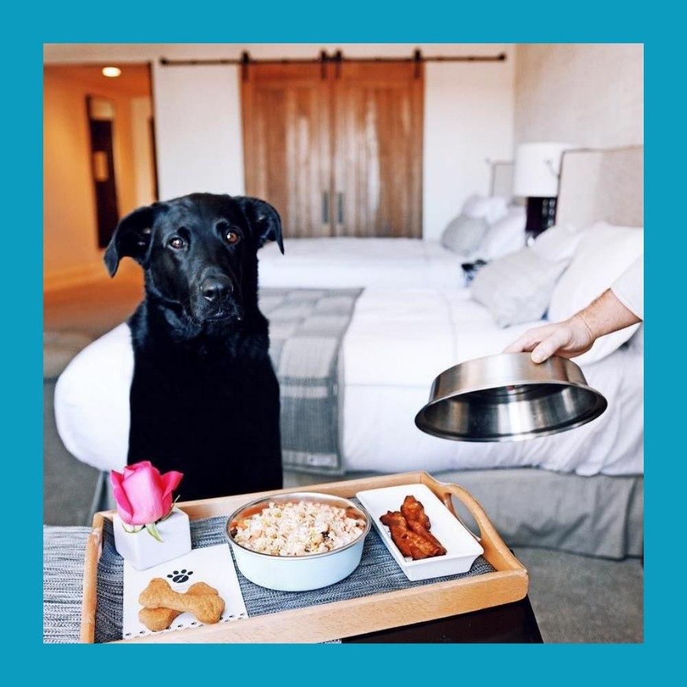 Британка заплатила 240 тысяч за «кошмарный» отпуск на Крите.Британская туристка Джоанна Уэллс вместе ... - 3