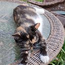 ���� ����, ������, 51 ��� - ��������� 13 ������� 2024 � ������ ���� ����������