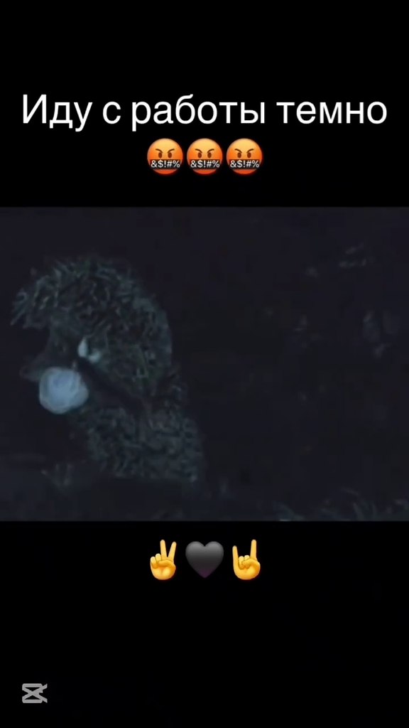 ��� � �����)