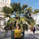 ���� ��������� ��������, ������, 78 ��� - ��������� 20 ����� 2024 � ������ ���� ���� ������