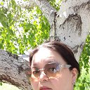 ���� ����, ��������, 51 ��� - ��������� 28 ���� 2025 � ������ ���� ����������