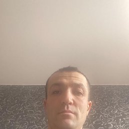 , 48, 
