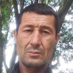 �����, �����-���������, 50 ���