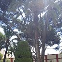 ���� �������, �������, 72 ���� - ��������� 16 ������� 2024 � ������ ���� ����������
