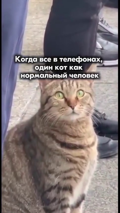 ������ � ������ ��� ��������)