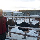 ���� ������, ��������, 49 ��� - ��������� 11 ������ 2024