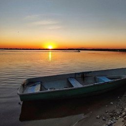 ���������, ������, 35 ���