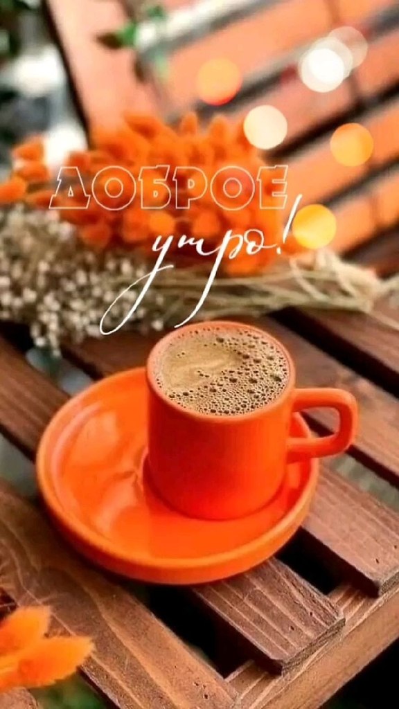   ,    . - 26  2025  22:14 - 3