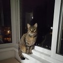 ���� �������, �����, 24 ���� - ��������� 28 ������� 2025