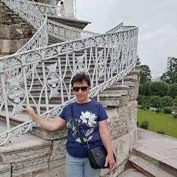 , 65, 