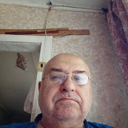 , 65 , 