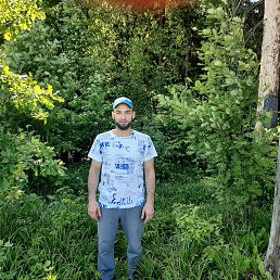 , 29, 