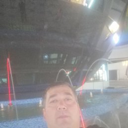 , 41, 