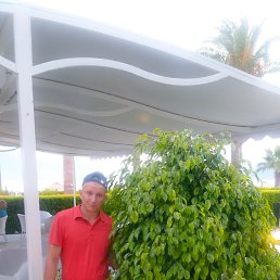 ���� �����, ���������� - ��������� 7 ������ 2024