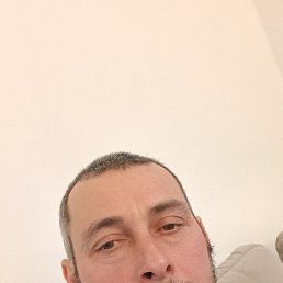 , 40, 