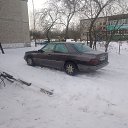 ���� ����, ������, 49 ��� - ��������� 1 ������� 2024 � ������ ���� ����������