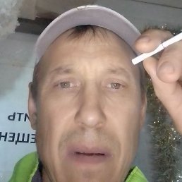 ���� ����������, ���������, 46 ���