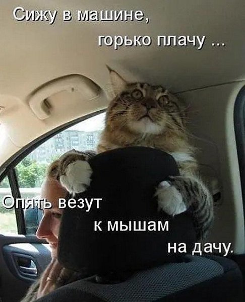 �� ����� - ������������� ������ �1 - 1 ��� 2025 � 08:51