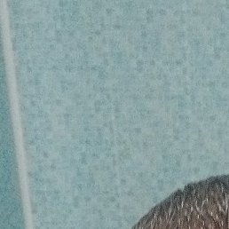 ������, ���������, 39 ���