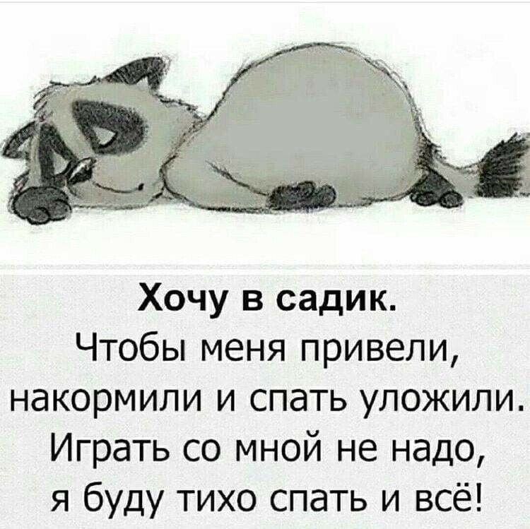 ☆Лучшие шутки☆ - 5 мая 2024 в 21:23