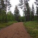 ���� Nata, ������, 61 ��� - ��������� 9 ���� 2026 � ������ ������ ��������