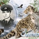 ���� ���������, �����, 67 ��� - ��������� 8 ������ 2023 � ������ ���� ����������