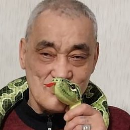 ,  , 61 